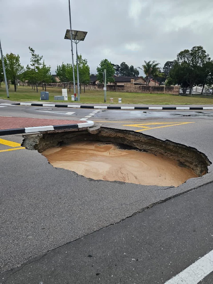 Hon Zivhu tweet media