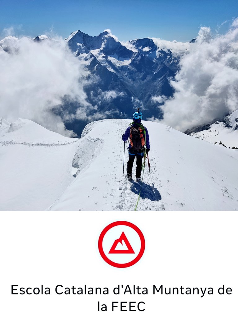 Guifré Porqueres II*II tweet media