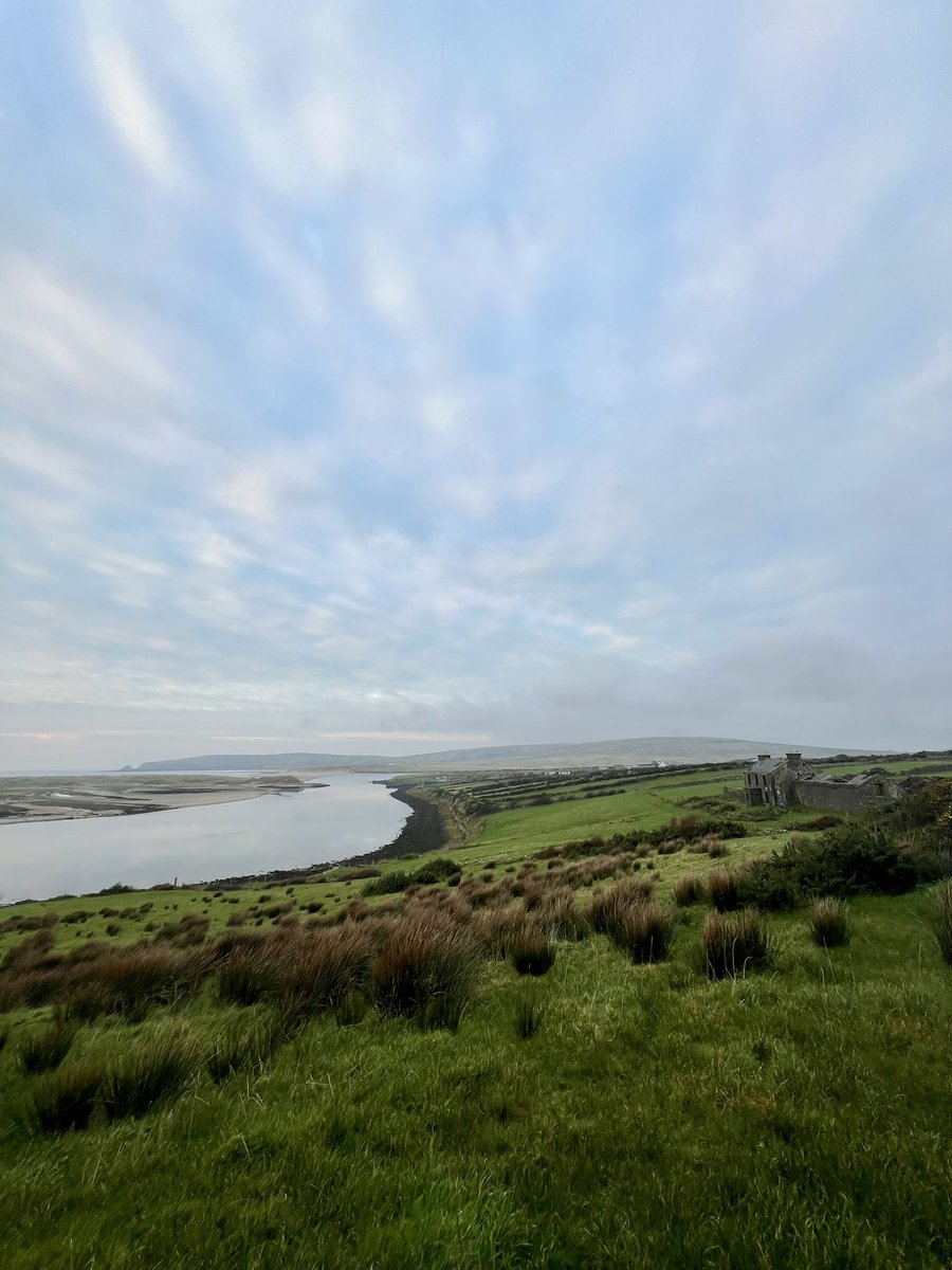 Ross McGrath tweet media