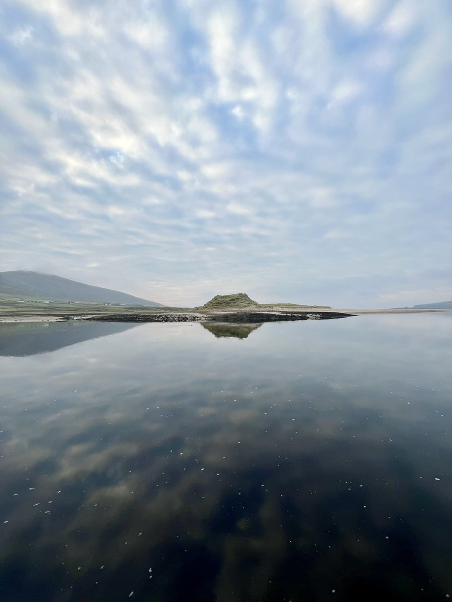 Ross McGrath tweet media