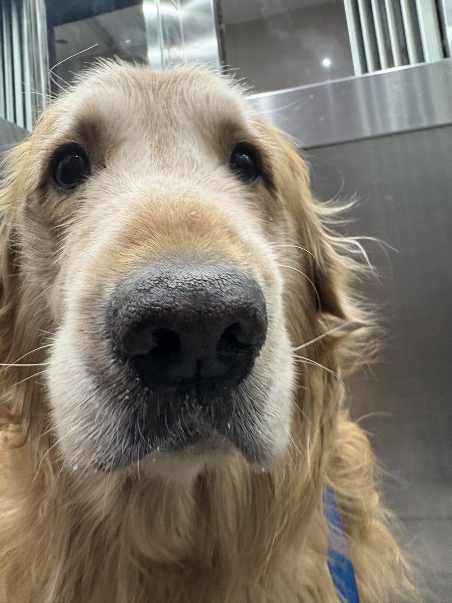 cuando vas a salir a pasear pero te das cuenta que en la calle no hay aire acondicionado