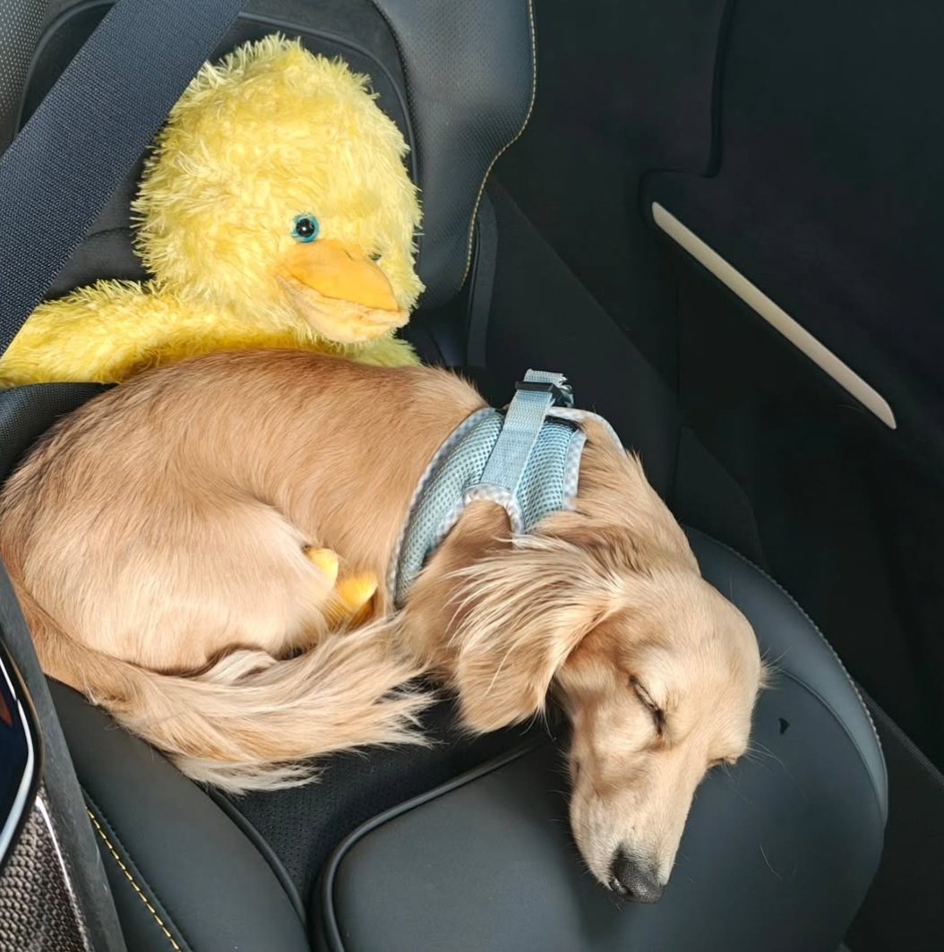 so cute 🐥

📷: oli__ontrack