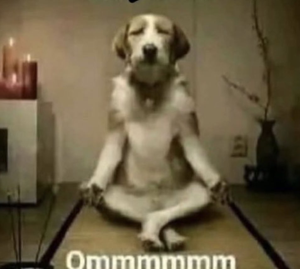 2026 será mi año….