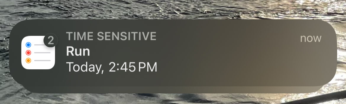 T4Alex's tweet image. Had Siri set a reminder for me to run my dishes this afternoon but I guess only caught the first word, so I just got this ominous reminder that just read “run”