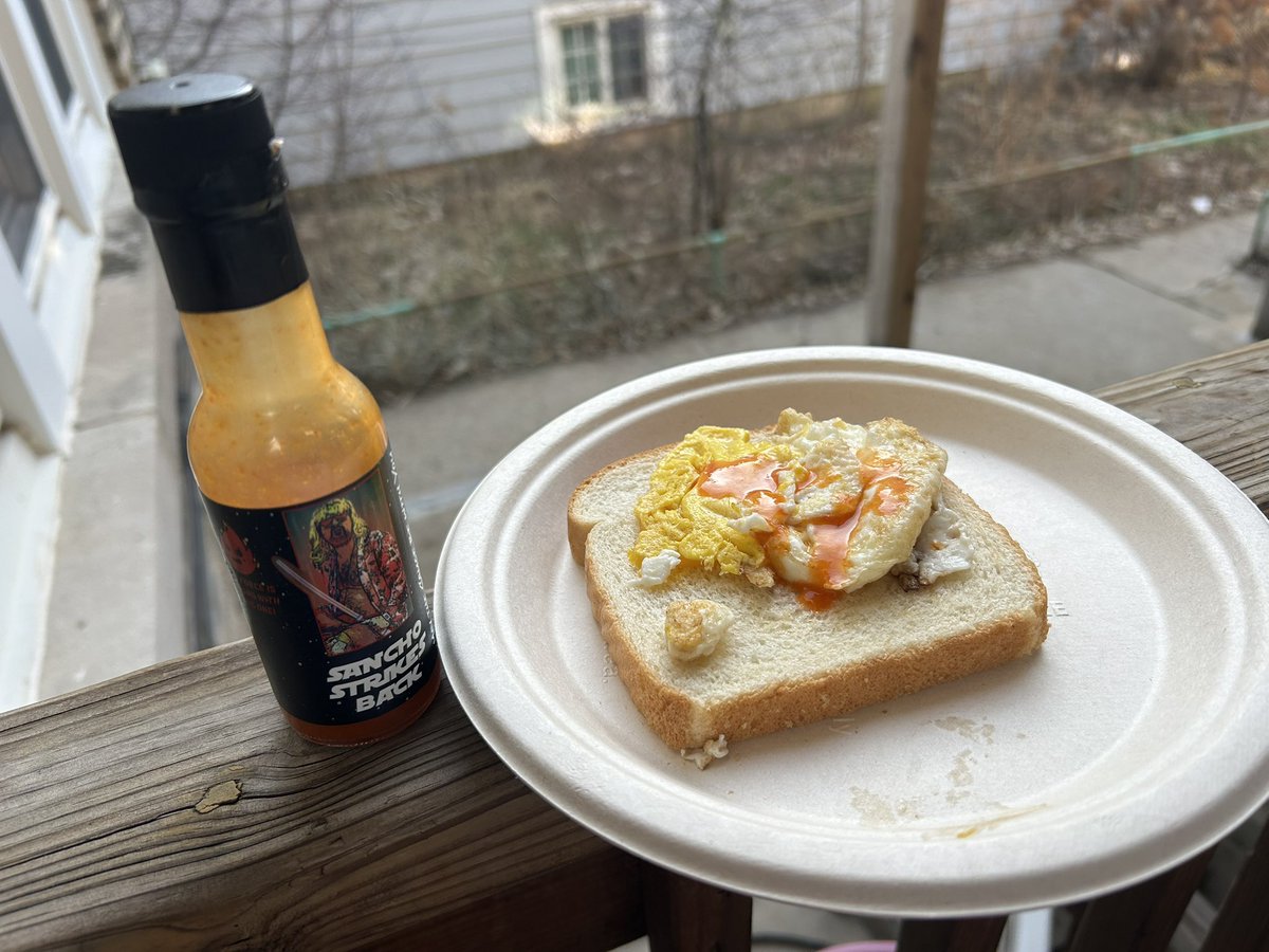 dachiplug's tweet image. Sancho Strikes Back is my shit!!!
@terpadelics