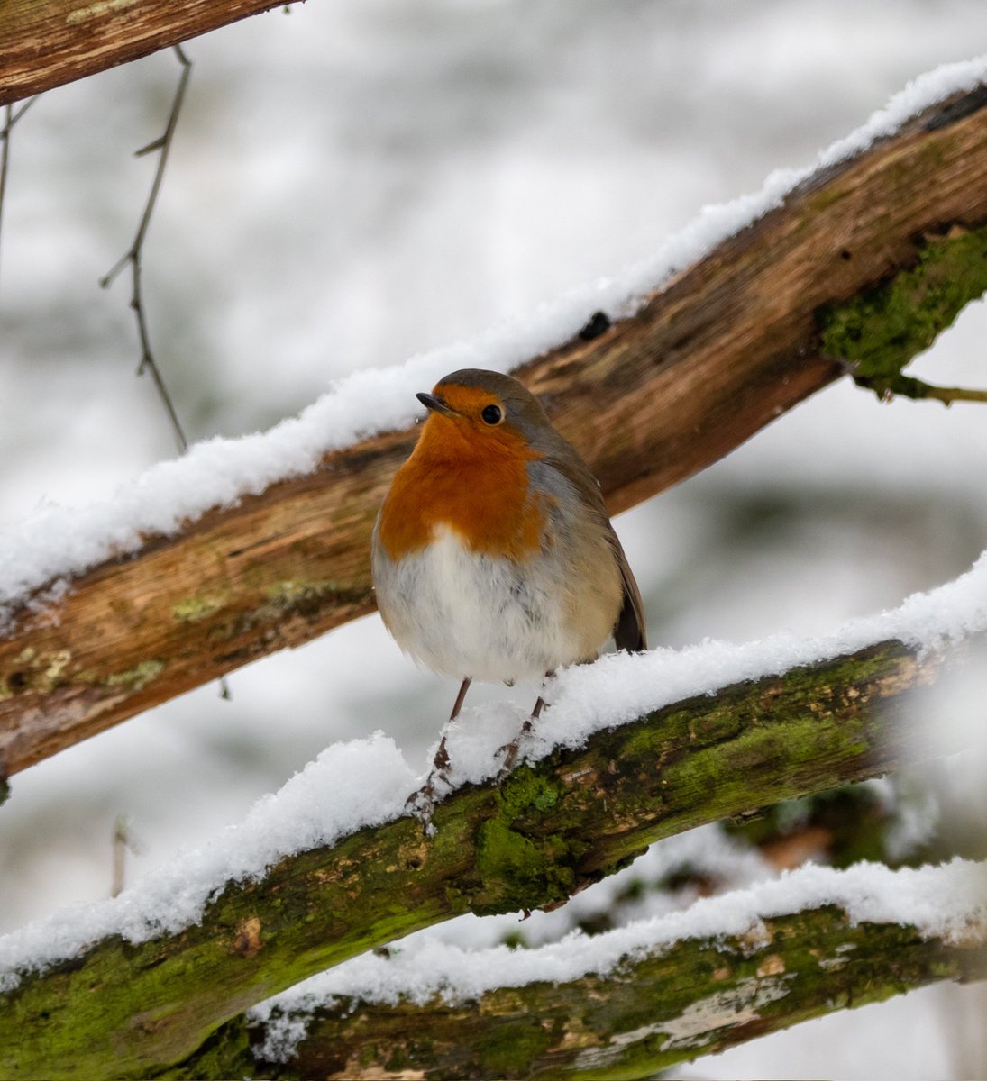 Andy Newton tweet media