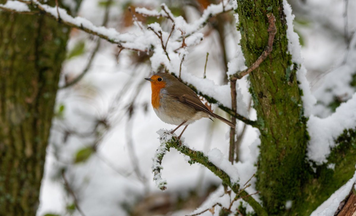 Andy Newton tweet media