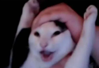 Artsplashhh's tweet image. hiperfoco total em Kingdom Come Deliverance