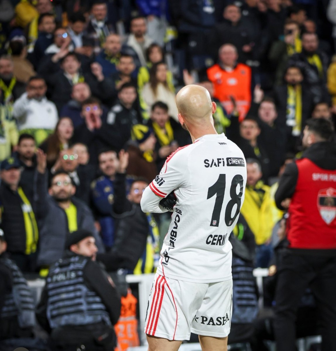 Kusursuz bir fotoğraf.