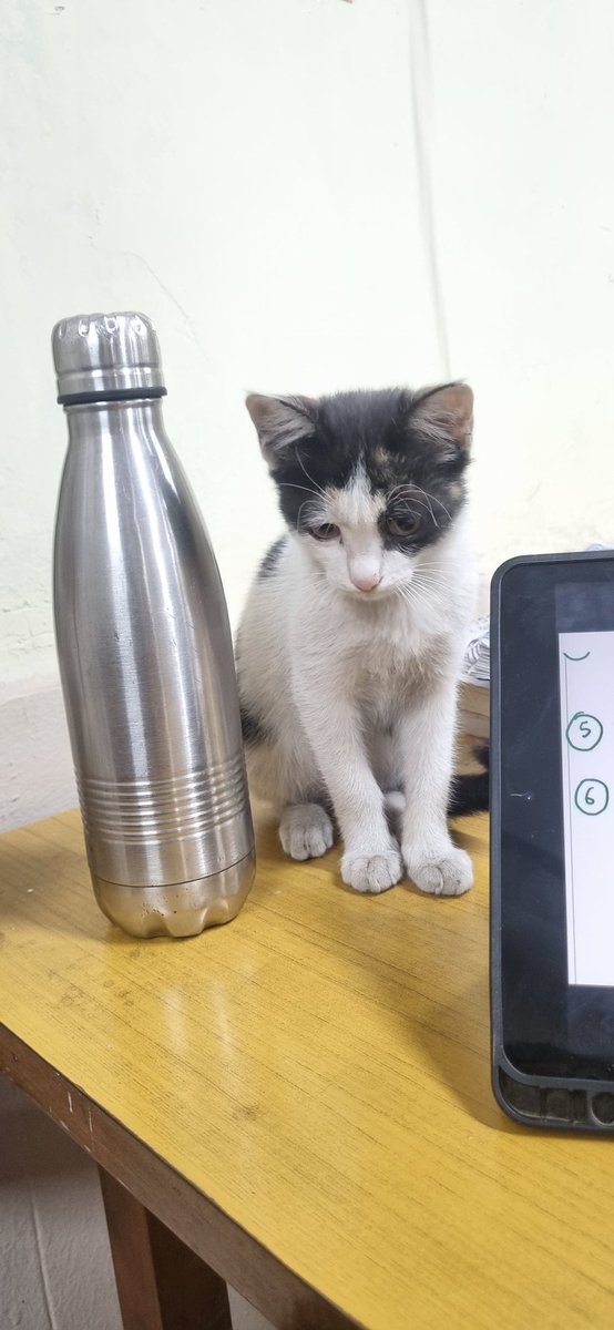 existinsumwhere's tweet photo. Bro is 400ml long https://t.co/hcdtAYQNho