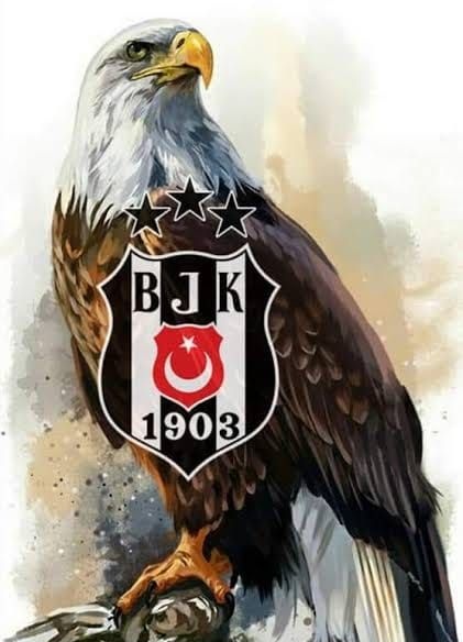Tebrikler BeşiktAŞKIM🦅🦅🦅🤍🖤