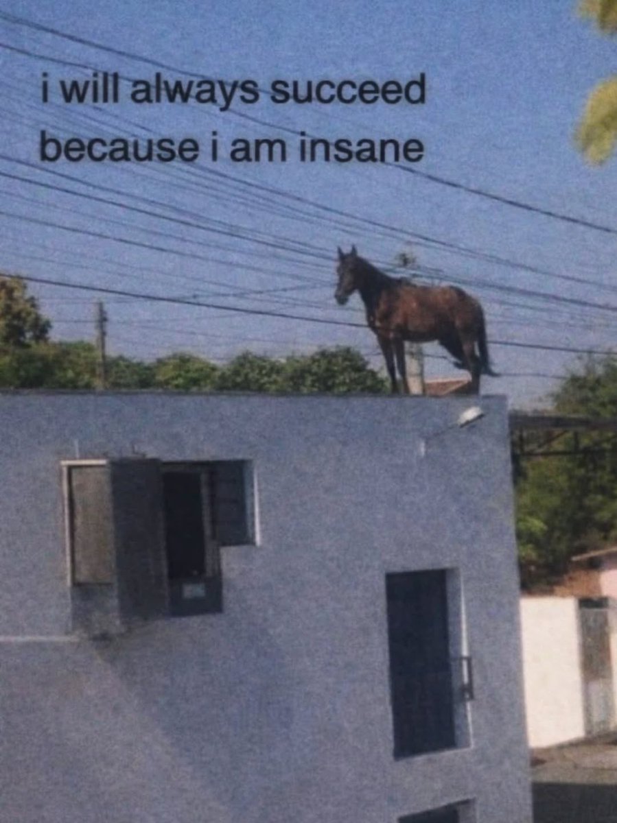 Deion 𓋹 (@calmdeion) on Twitter photo 