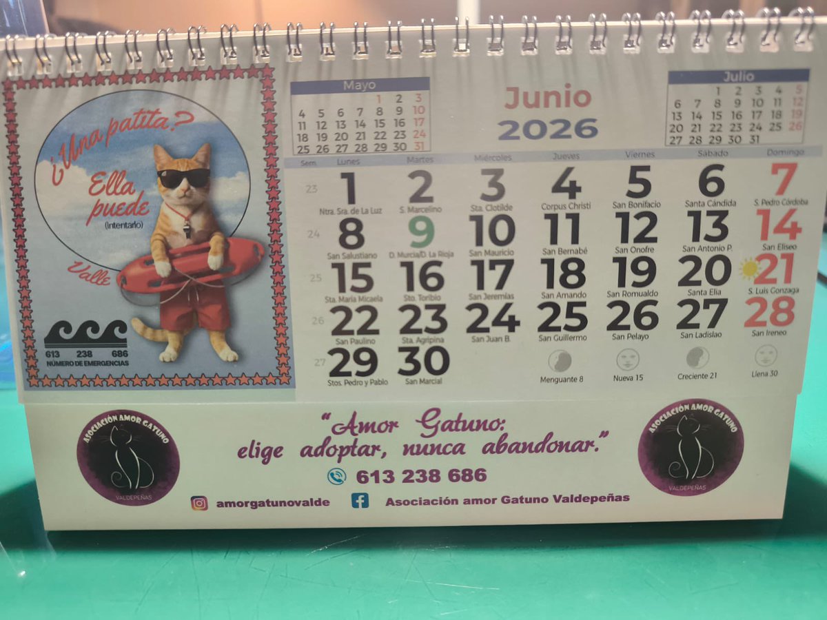 Amor Gatuno Valdepeñas tweet media