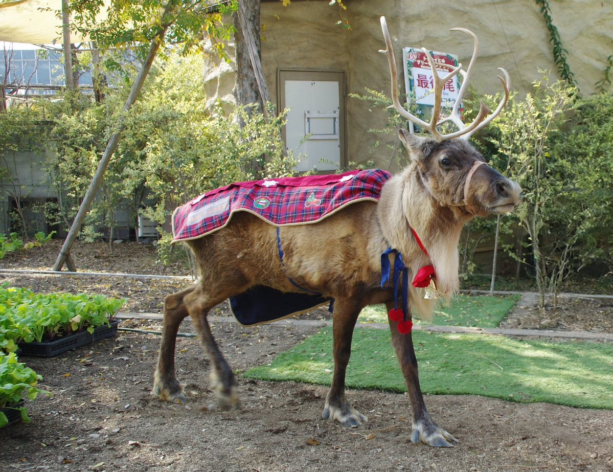 善右衛門 (@munch9419) / Posts / X