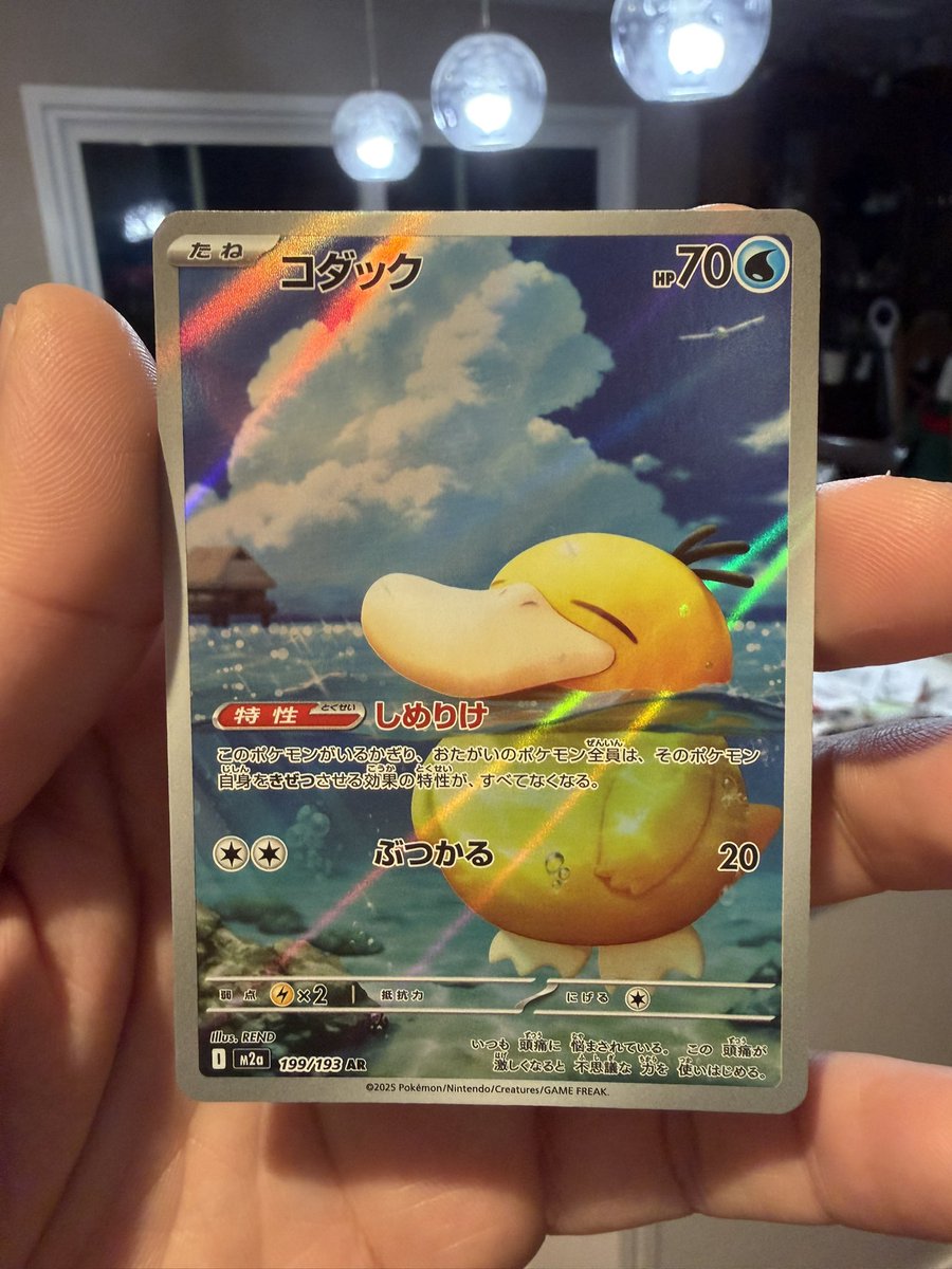 ZanderCollects's tweet image. Doing a Christmas Giveaway for this little guy! 🎄 

✅Like
✅RT

That’s it! 

Winner will be picked on Christmas Day. Good luck