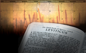 davidcpack's tweet image. Does the Bible teach there are special Holy Days that Christians should observe? What about holidays devised by men? Which days should you keep? go.rcg.org/43HlSGZ