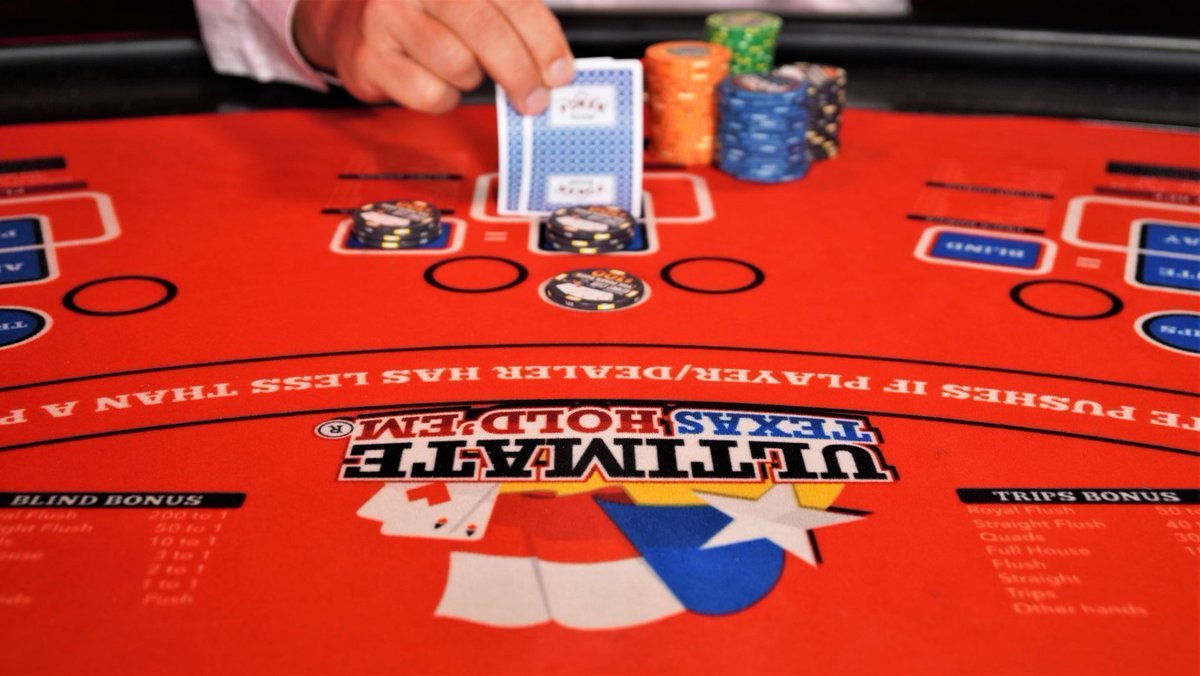 PBKC at Palm Beach Kennel Club tweet media