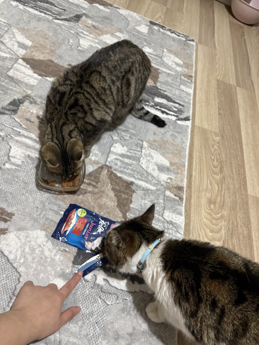 saat gece 11 ben peteklerin havalarını almaya çalışırken kızım flört peşinde bana bütün işimi gücümü bıraktırdı date ayarlattı kendine yemekli falan hem de