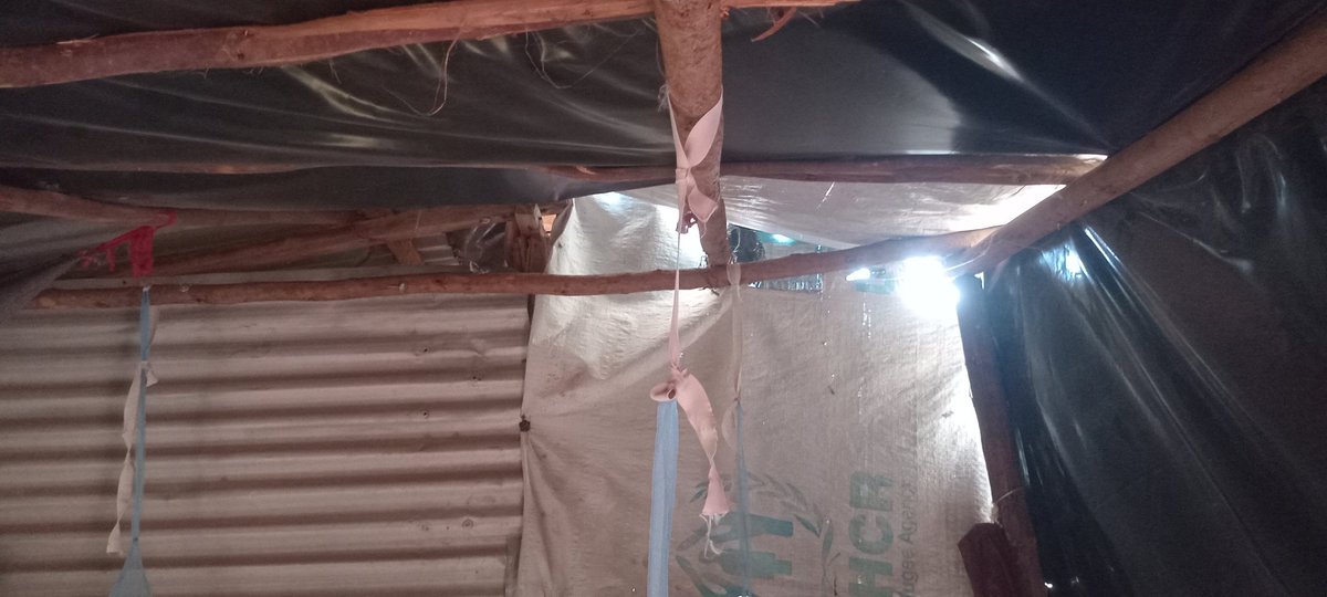 PsalmSamie's tweet photo. Hello friends...
Here I we are again, reaching out to all of you for help in this festive season. 
Regardless of all that's happened, we are thankful and grateful for those who are helping to repost our posts.
We don't take your efforts for granted
https://t.co/oeWW1ro9U9 https://t.co/2kWQWhEusp