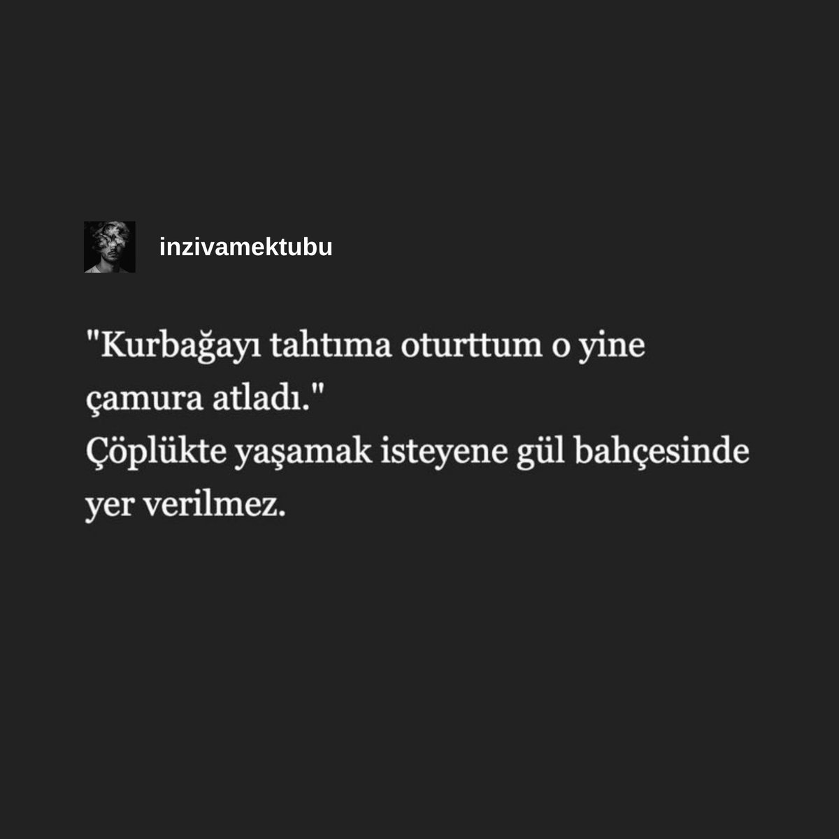 inziva, (@inzivamektubu) on Twitter photo 