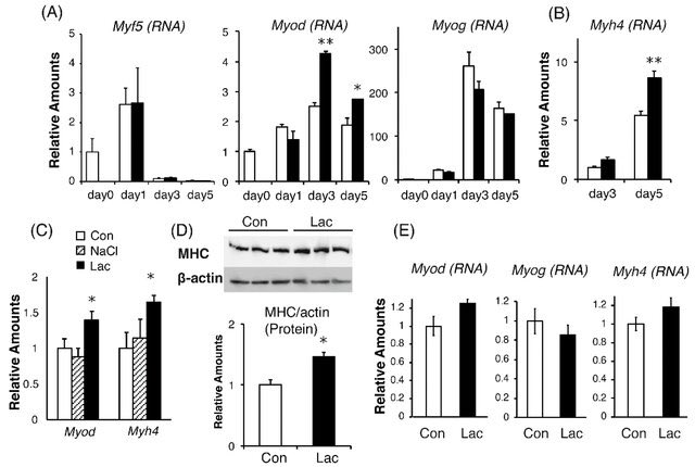 Aitor Viribay tweet media