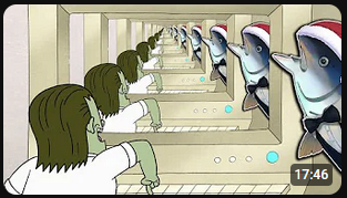 Reactuna 🐟 tweet media