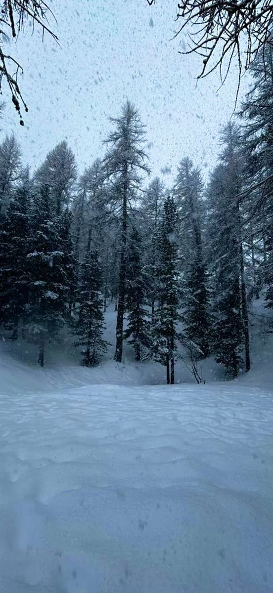 theonlymelane's tweet photo. ༘⋆🤍˚ .❄️₊˚ෆ https://t.co/YVqYfVgeuS