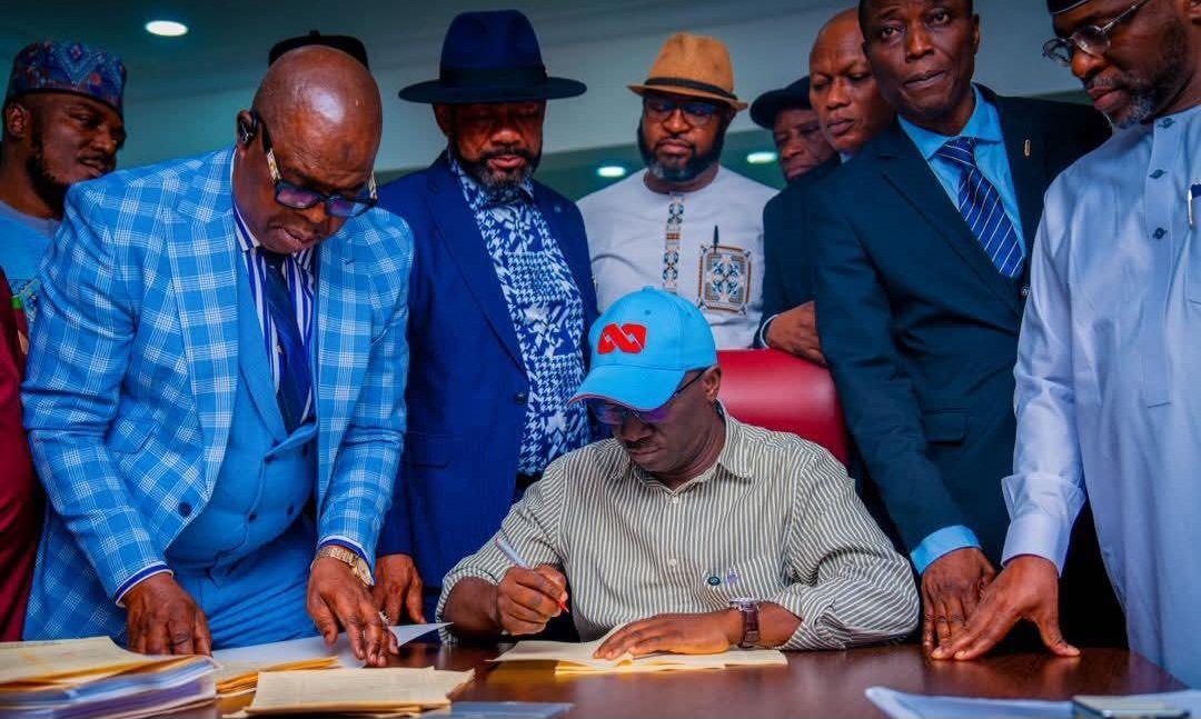 ogbeide Ifaluyi-Isibor tweet media