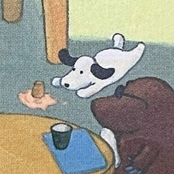 twaniimals's tweet image. Nooooooooo