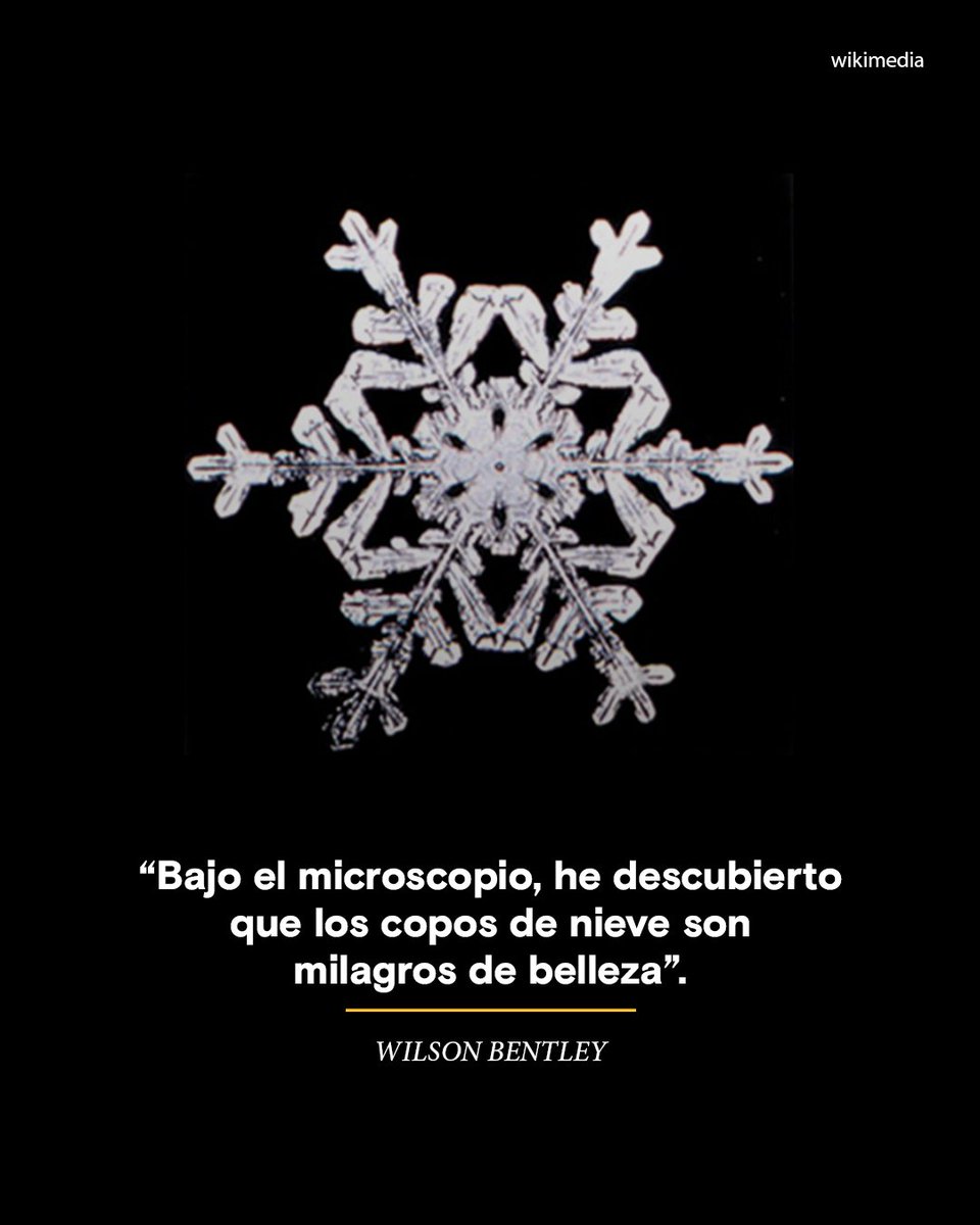#HoyEnLaHistoria En 1885, Wilson Bentley lograba captar por primera vez la estructura microscópica de un copo de nieve.