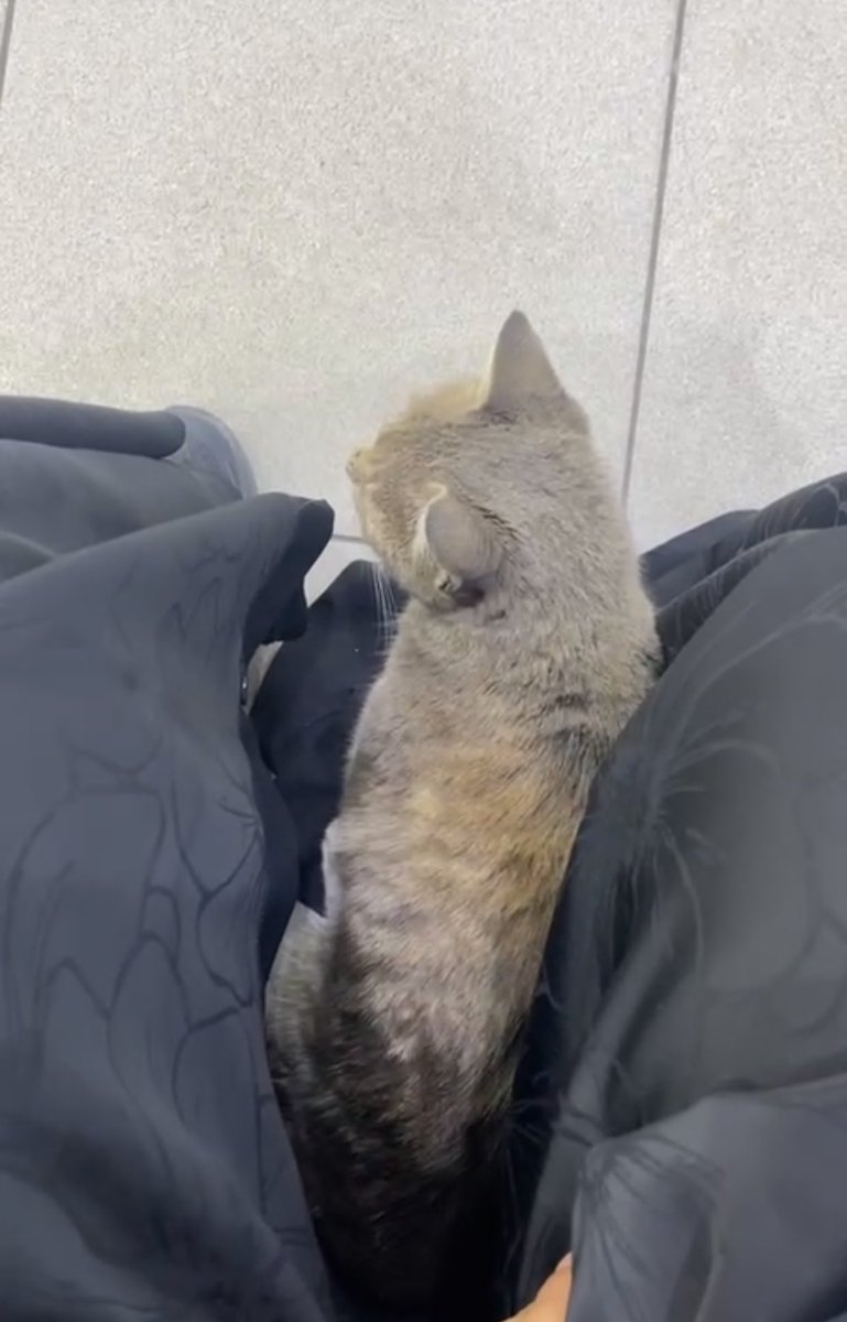 vilvan_'s tweet image. Me and my new friend traveling the world