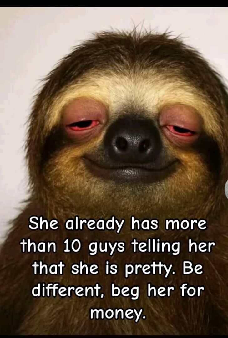 vanhelsing_202's tweet image. Beg her for money 😏😒