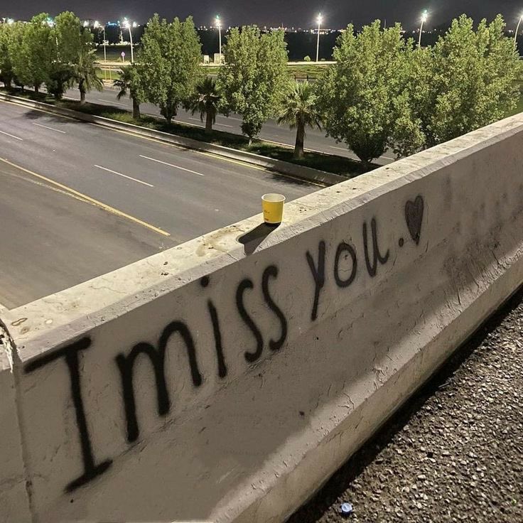 لامني بغيت اونّس خاطري ؟ 
               - تخيلتك -