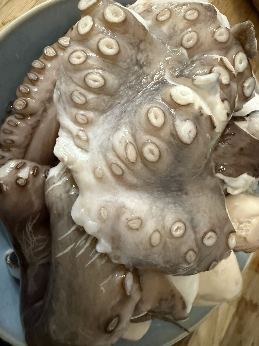 the best of Basha is gonna happen again