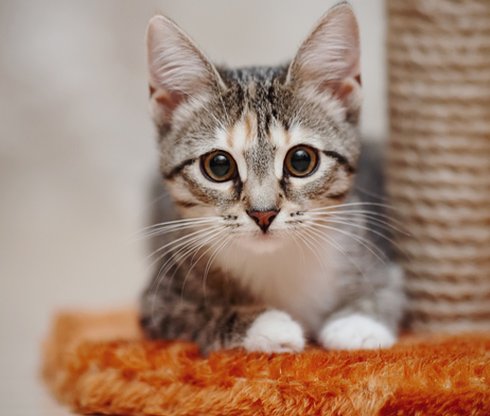 TheCaptainST's tweet image. おはようございます☕ なんか元気出てきた！。外出たら気持ちよかった✨。焦らずマイペースで ✨ 👧