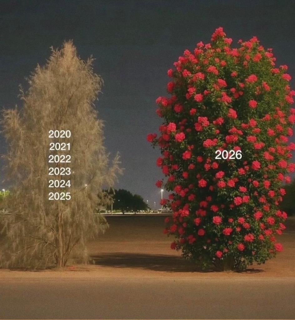 SolidKroket's tweet image. 2026 será un año DIFERENTE.