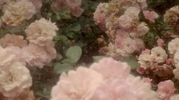 ؘ tweet media
