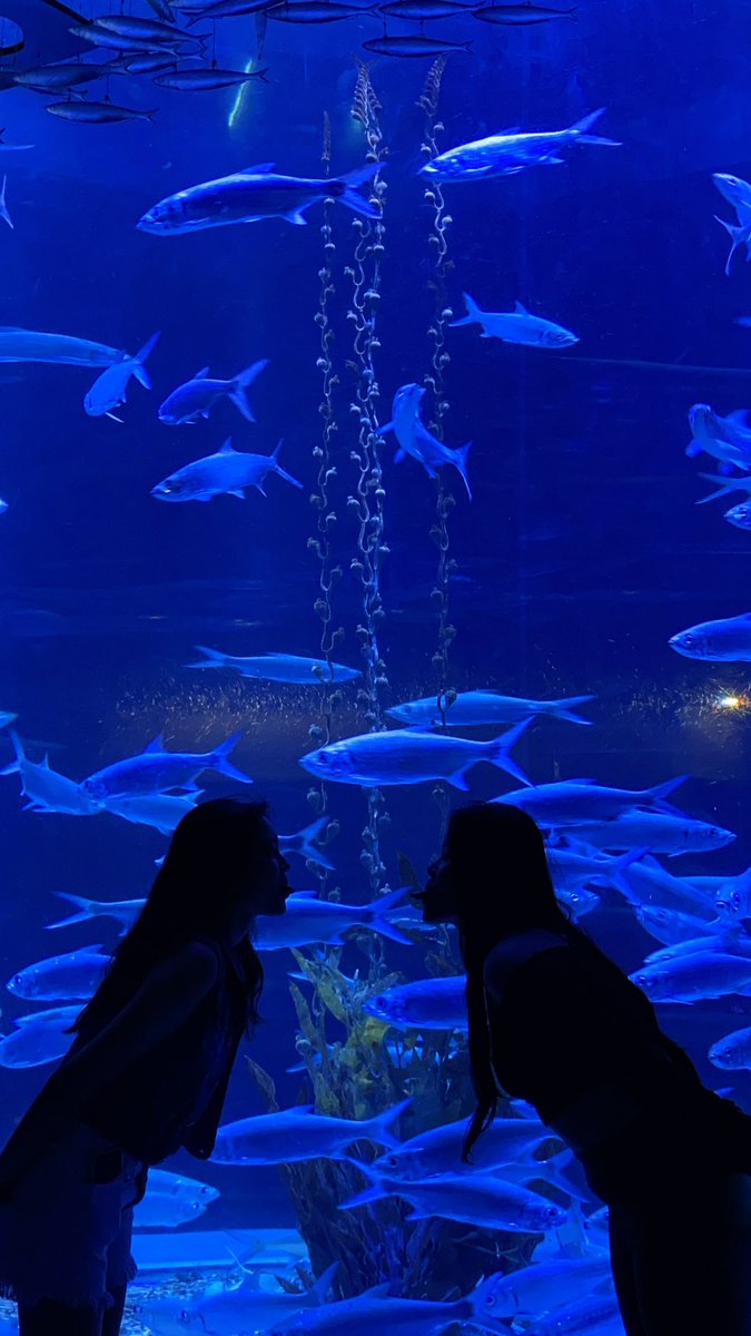 pfloo18's tweet photo. aquarium moment when 1,5years going to be https://t.co/mm0CnsLpEi