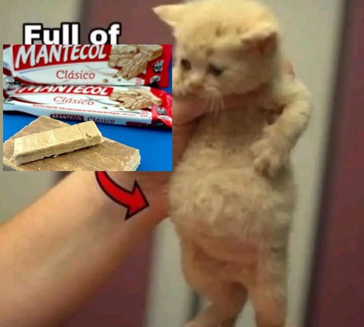 kagstones's tweet image. mañana es navidad