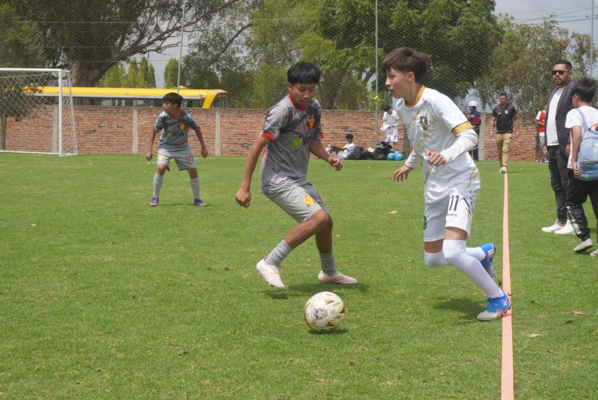 Aucas45's tweet photo. https://t.co/M6UEeYS41F