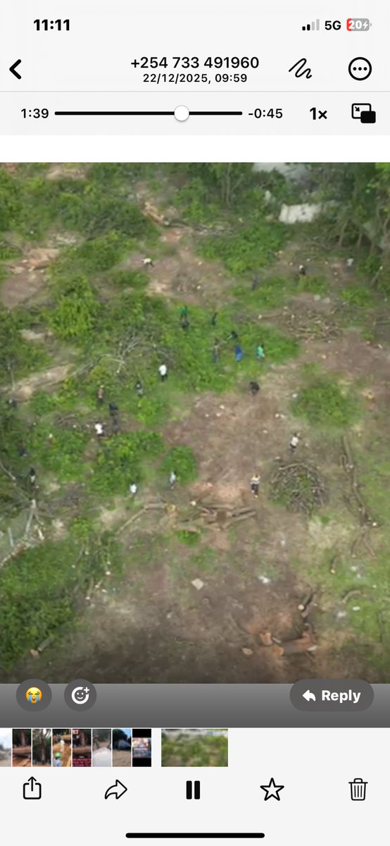 AfricanTeacher tweet media