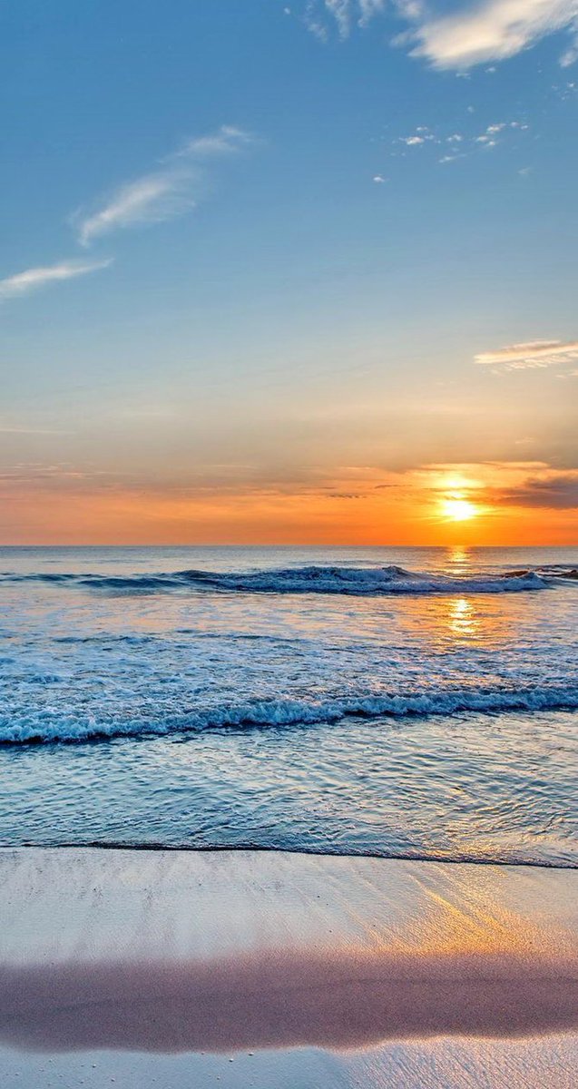 Wik1d12's tweet image. やっほー ワクワクしてる。髪乾かして寝よ。今日もがんばろ！ ☀️ 🕷️