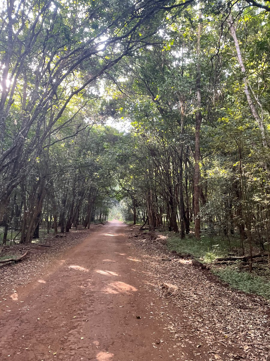 AfricanTeacher tweet media