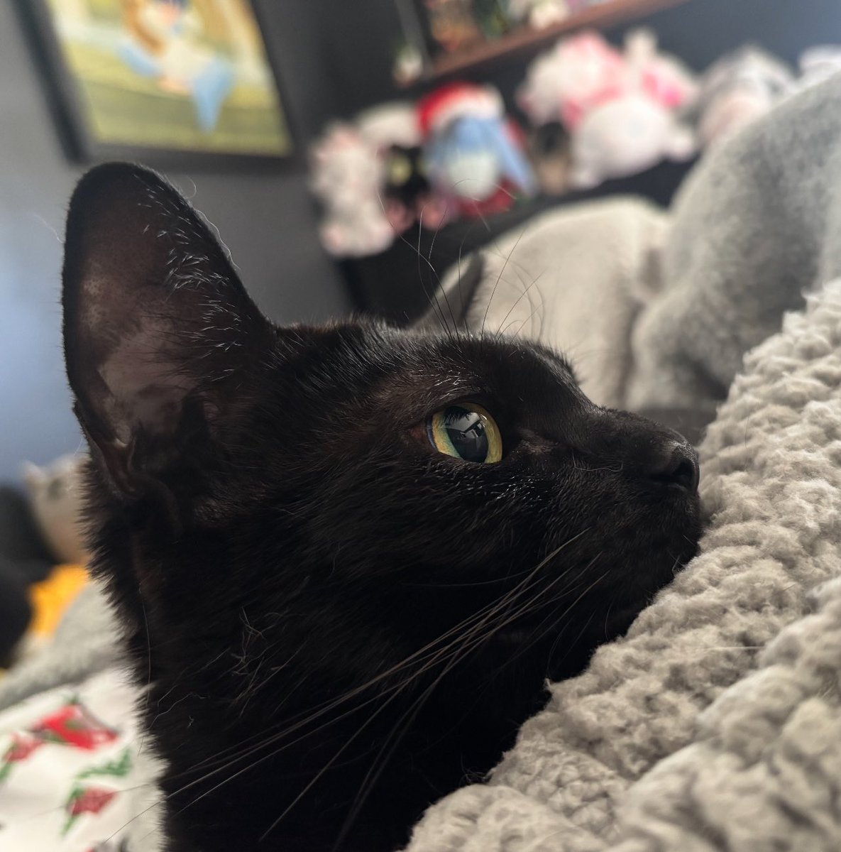 Tim Livingston 🤖💚 tweet media