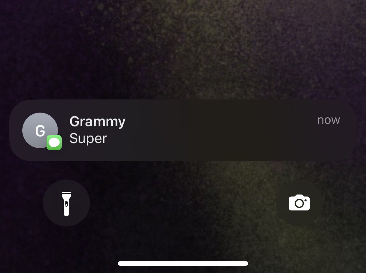 JellybackJoe's tweet image. help grandma i’m holding the aegis but i forgot how to remove the templar’s shield what should i do