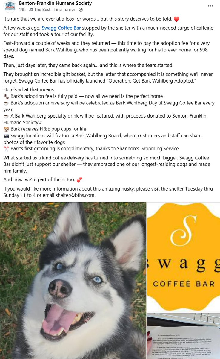 Alice Orrell tweet media