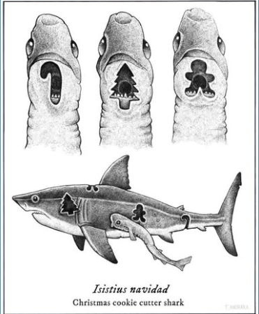 SandyofCthulhu's tweet image. Okay so this one is super obscure, but hoping some will enjoy.