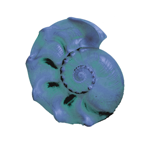 OCEANSALTPETER's tweet image. 