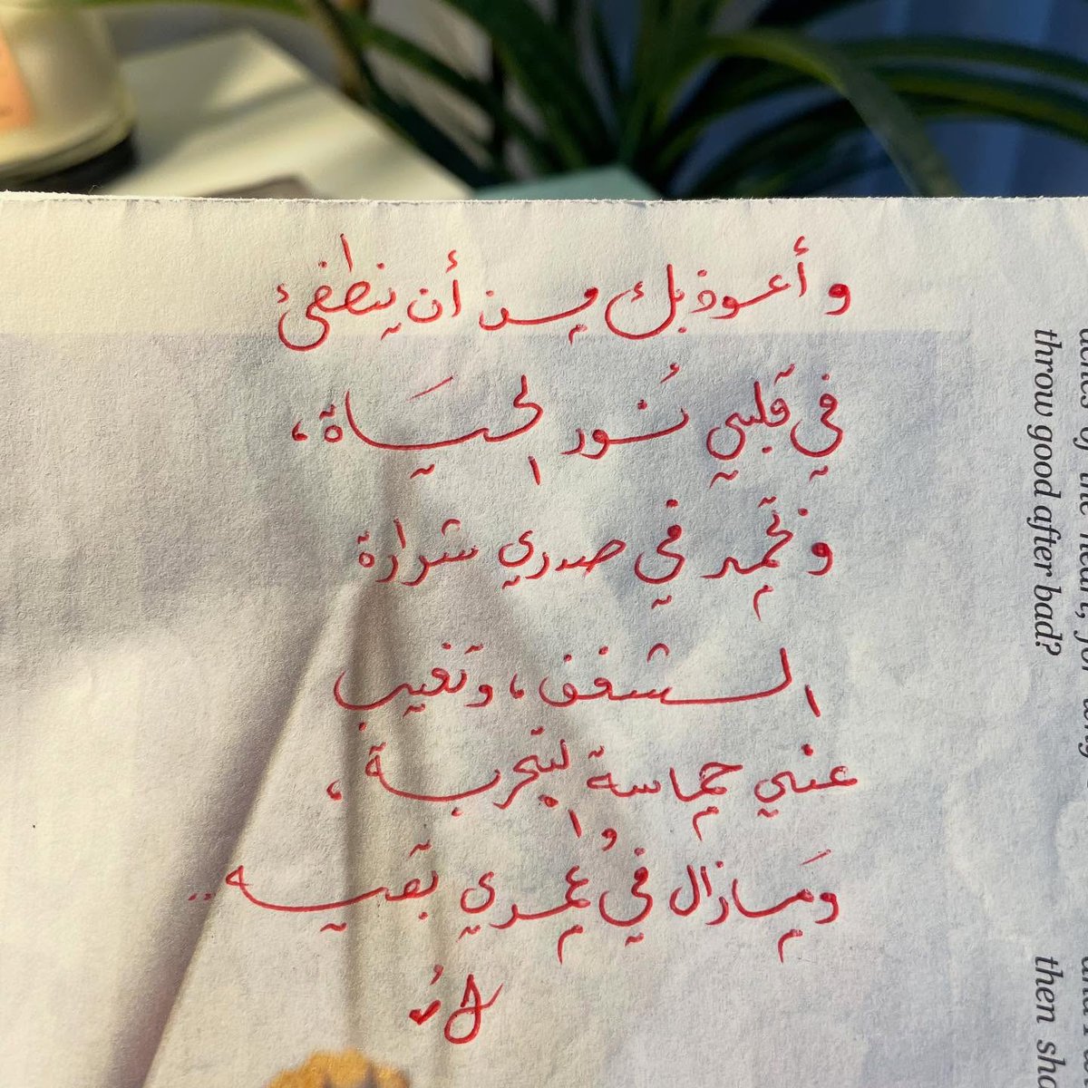 ما وراء المعرفة (@m3il9) on Twitter photo 