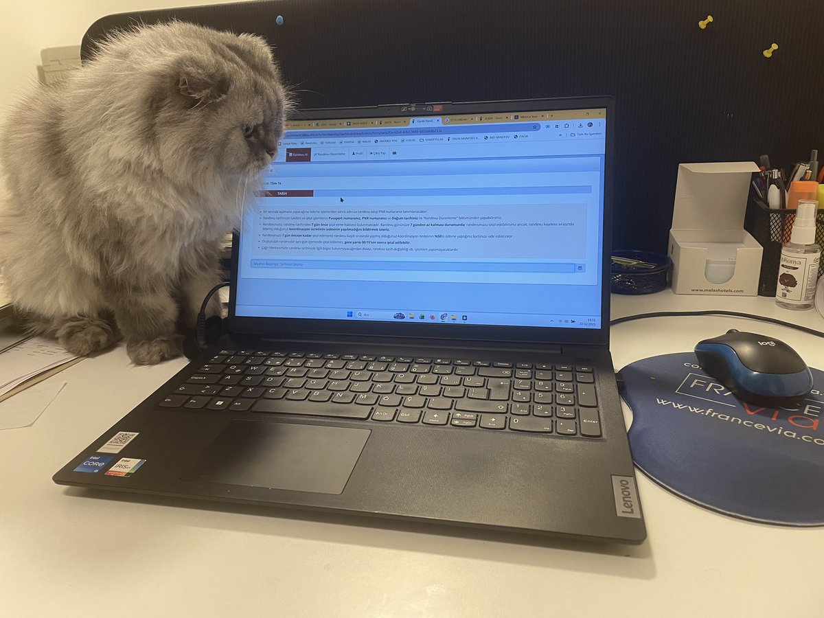 Bir mouse gördüm sanki
🤤
Pozitif Turgay Köpek #emkel #sasa #salı BenLeman DisneyPlusa Arif Fenerbahçe - Beşiktaş Yüksük #iyigeceler 
#Haymana #ucakkazası #Ankara
#Libya #asgariücret